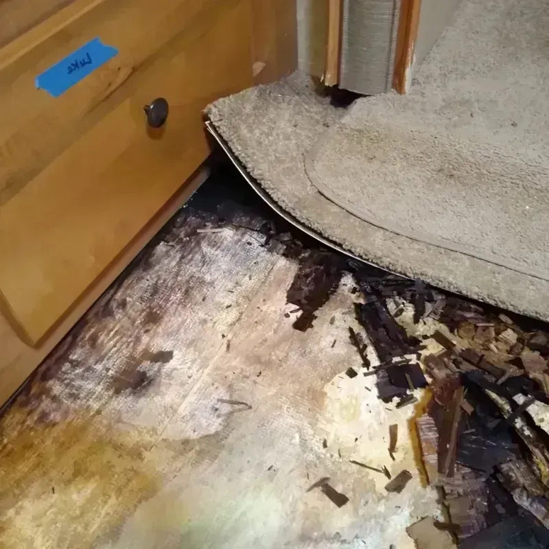 Wood Floor Water Damage in Flagler County, FL